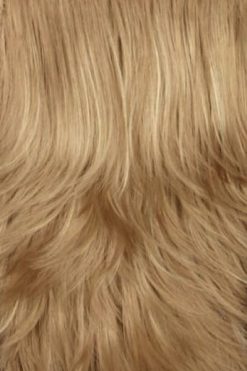 Long Hair Band Wig - Colour 16H