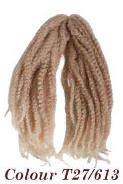 Afro Braid - Colour T27/613