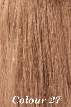 HP-STL Drawstring Ponytail - Colour 27