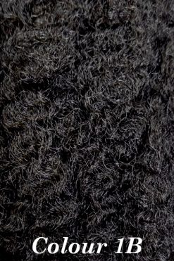 Afro Braid - Colour 1B